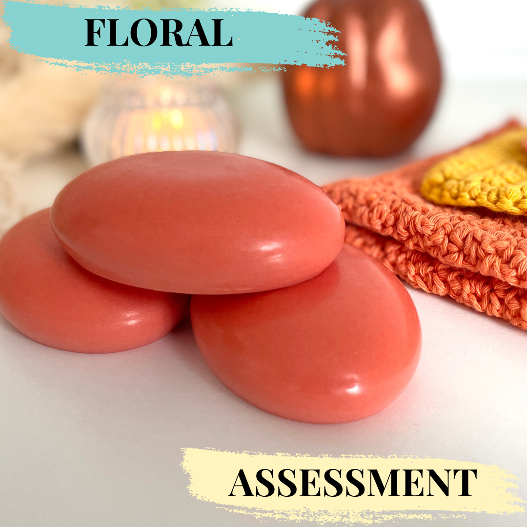 Solid Shampoo & Conditioner Assessment (CPSR) - Floral