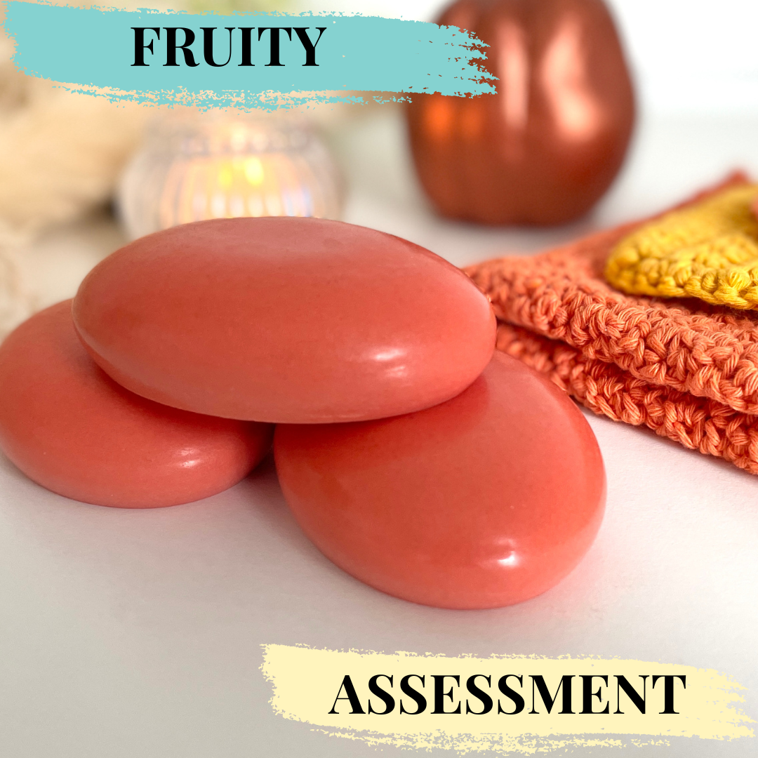 Solid Shampoo & Conditioner Assessment (CPSR) - Fruity