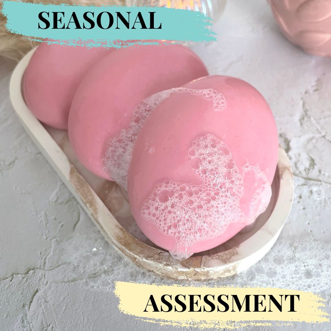 Solid Shampoo Assessment (CPSR) - Seasonal