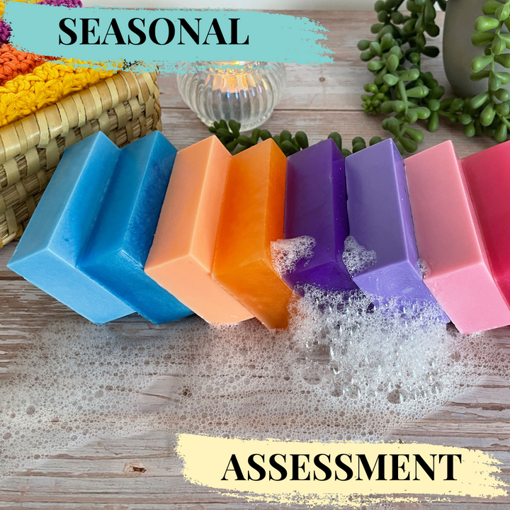 Melt & Pour Soap Assessment (CPSR) - Seasonal