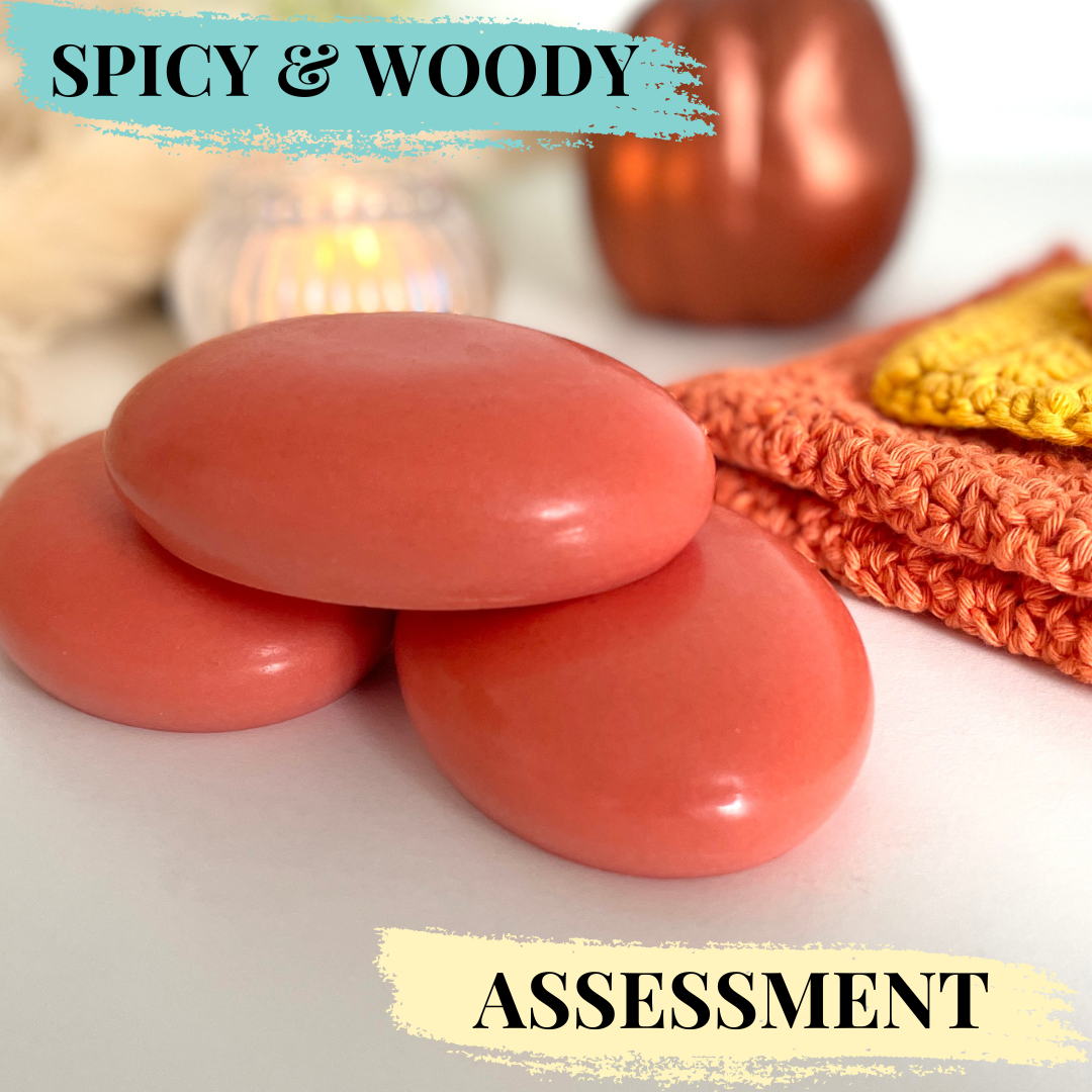 Solid Shampoo & Conditioner Assessment (CPSR) - Spicy & Woody